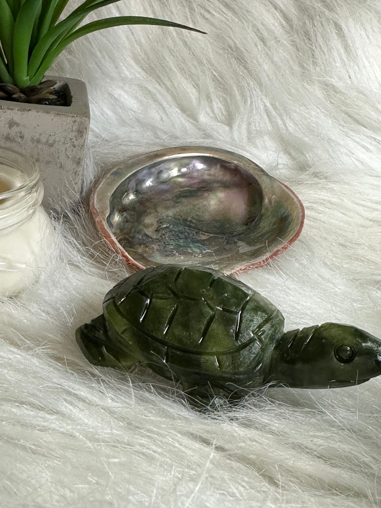 Green Jade Turtle