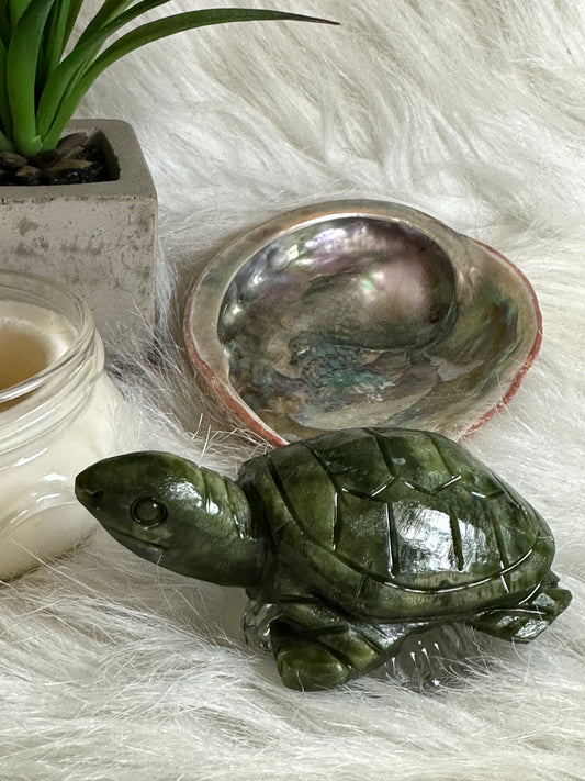 Green Jade Turtle