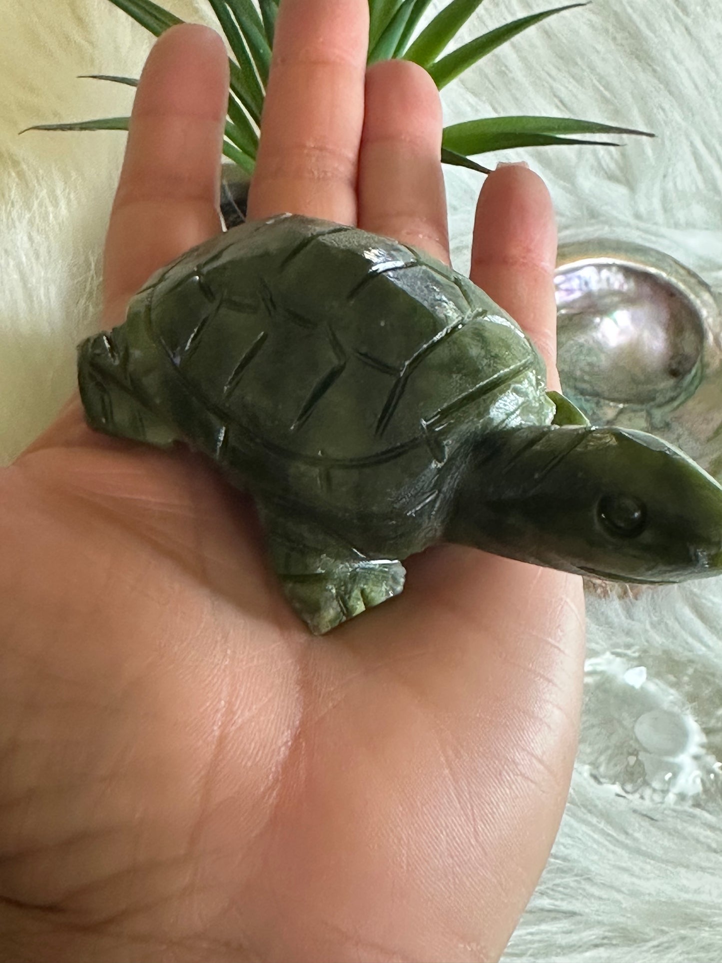 Green Jade Turtle