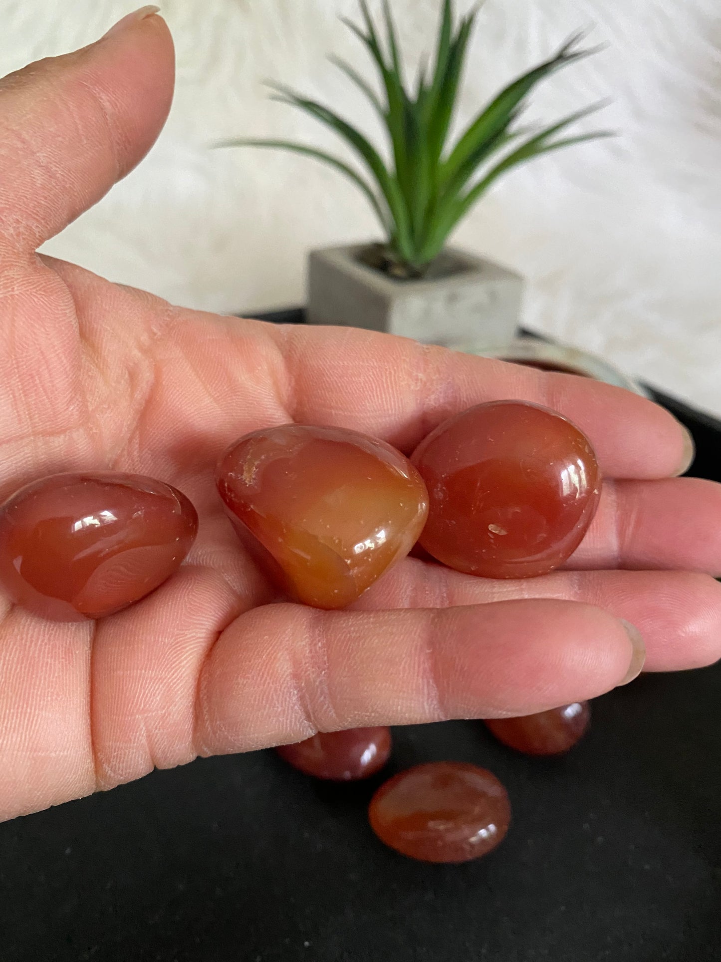 Carnelian Tumbles (mix n match all tumbles 3 for $10)