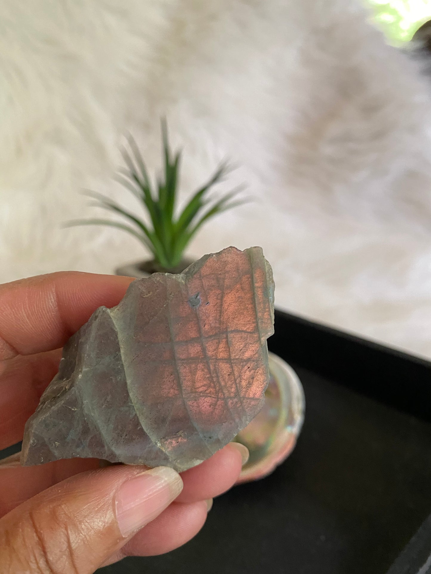 Labradorite Raw Palm