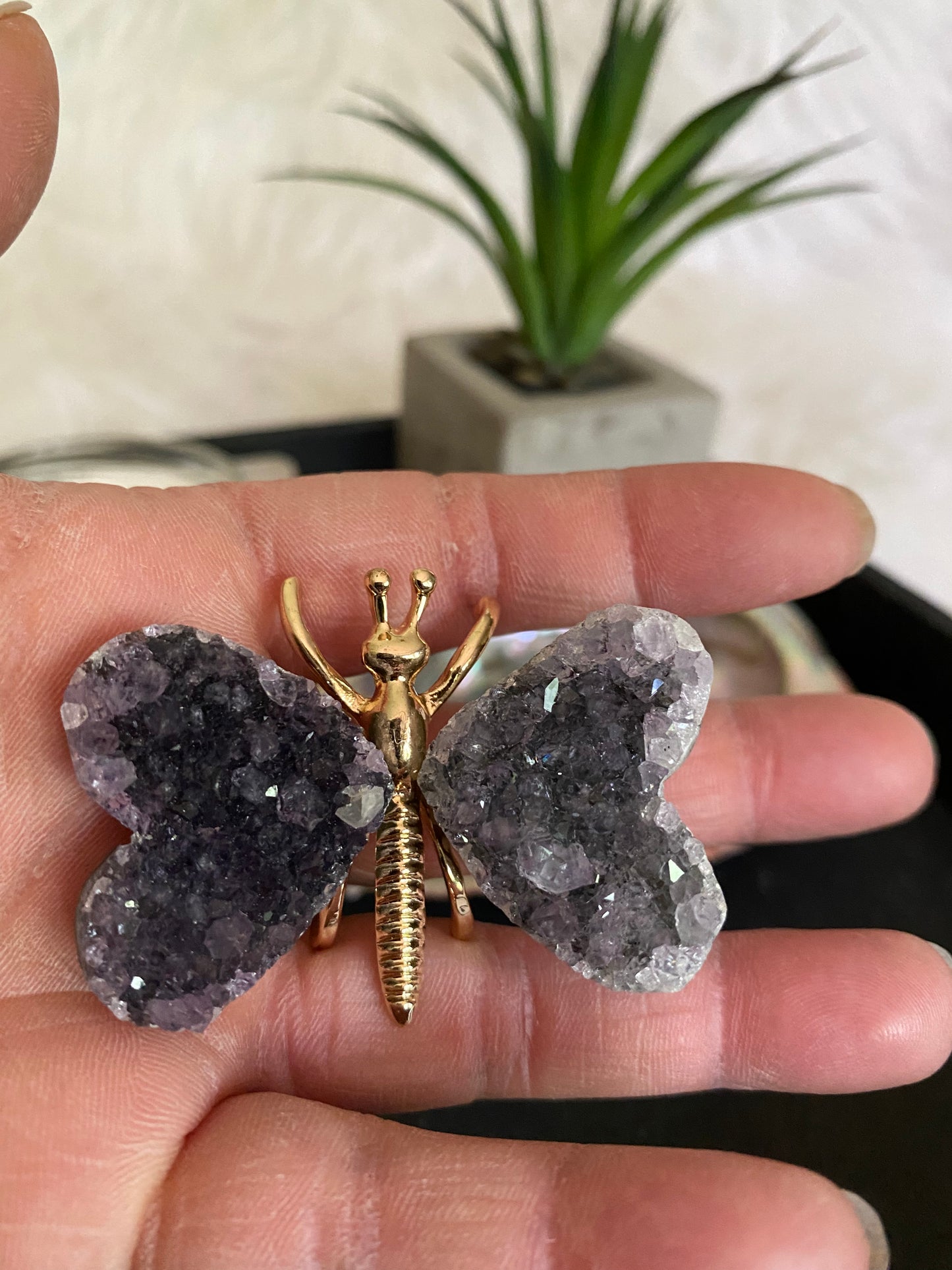 Amethyst Butterfly