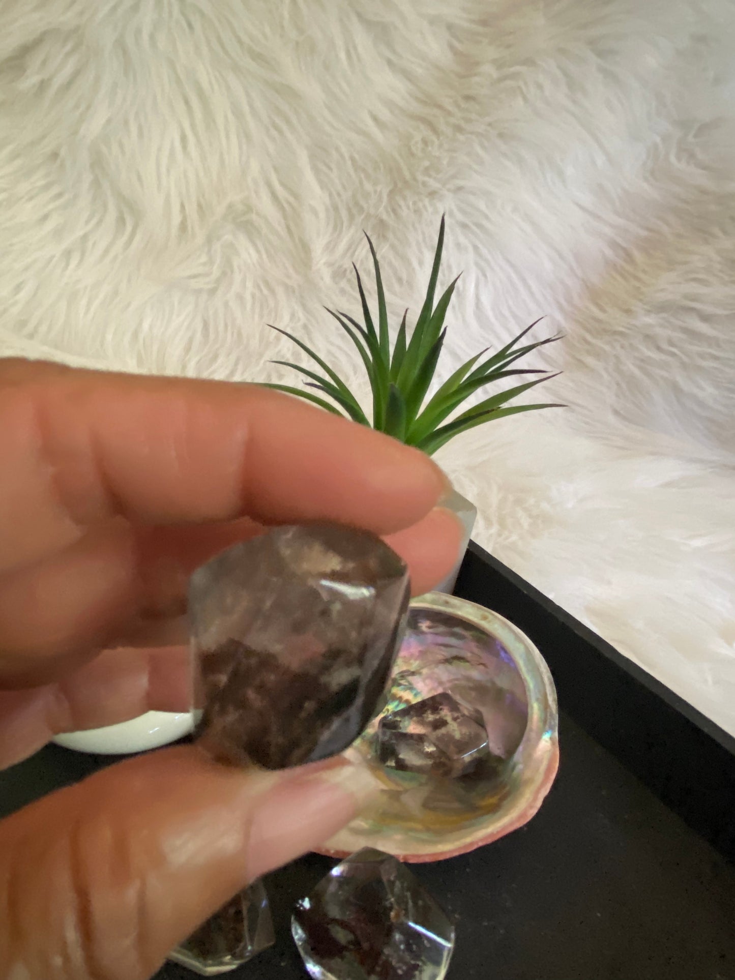 Garden Quartz Palms