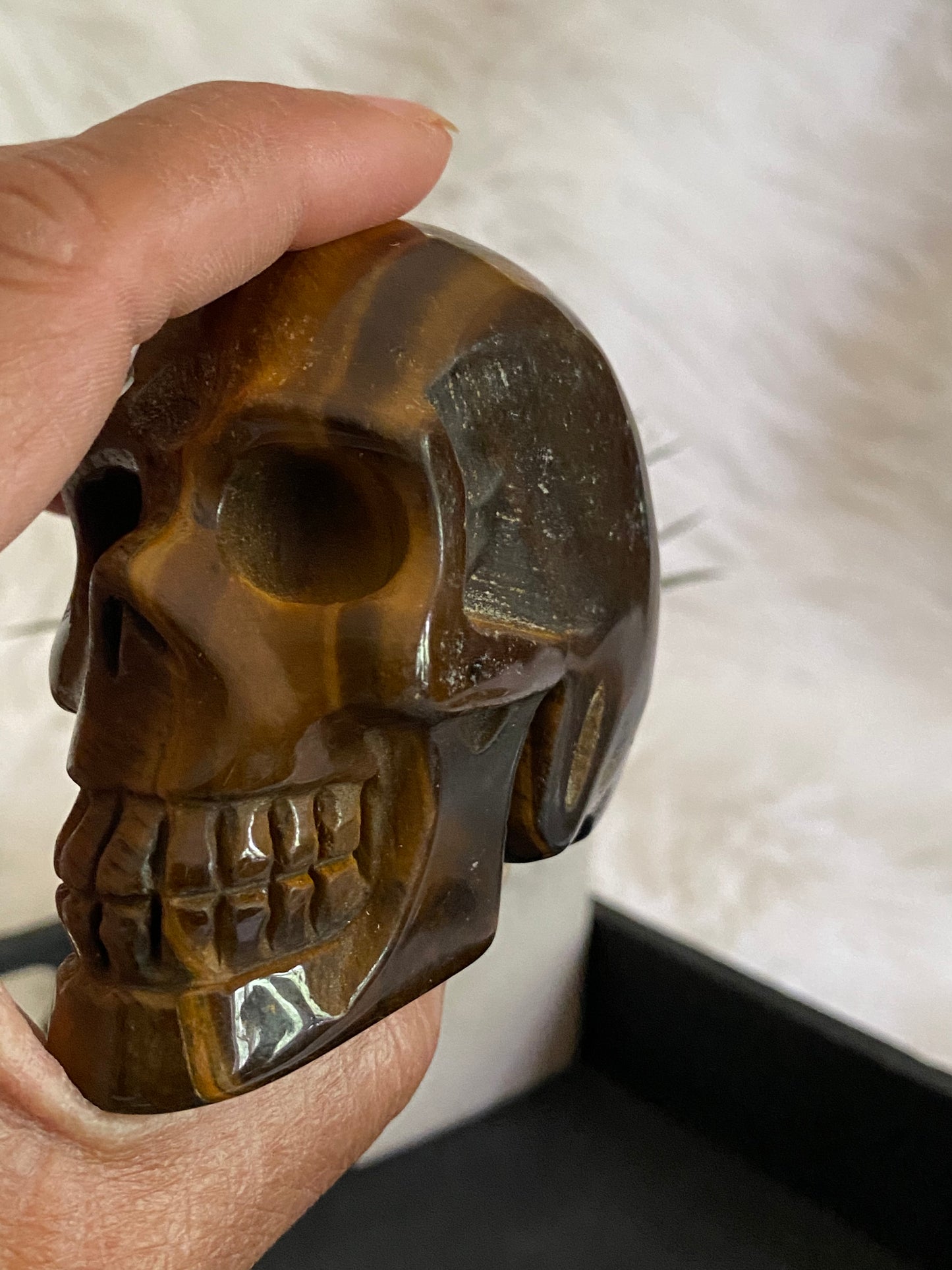 Tigers Eye Skull