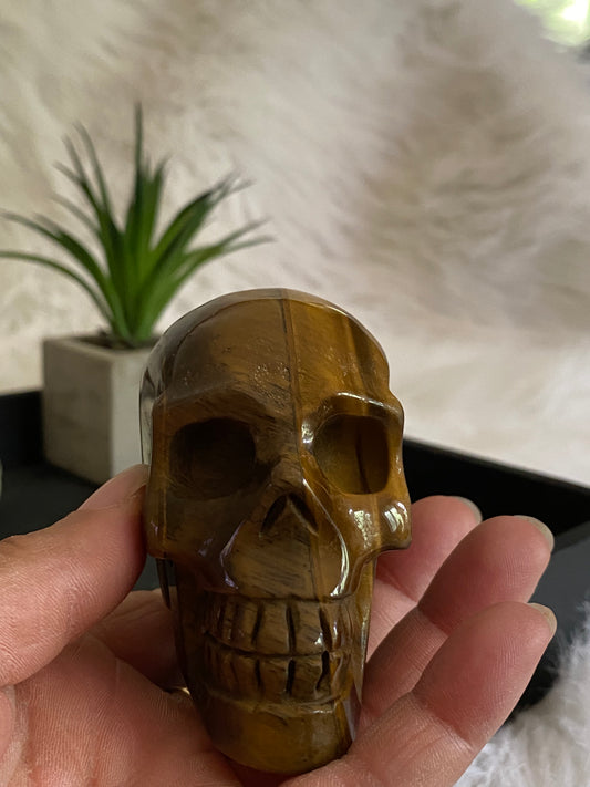 Tigers Eye Skull