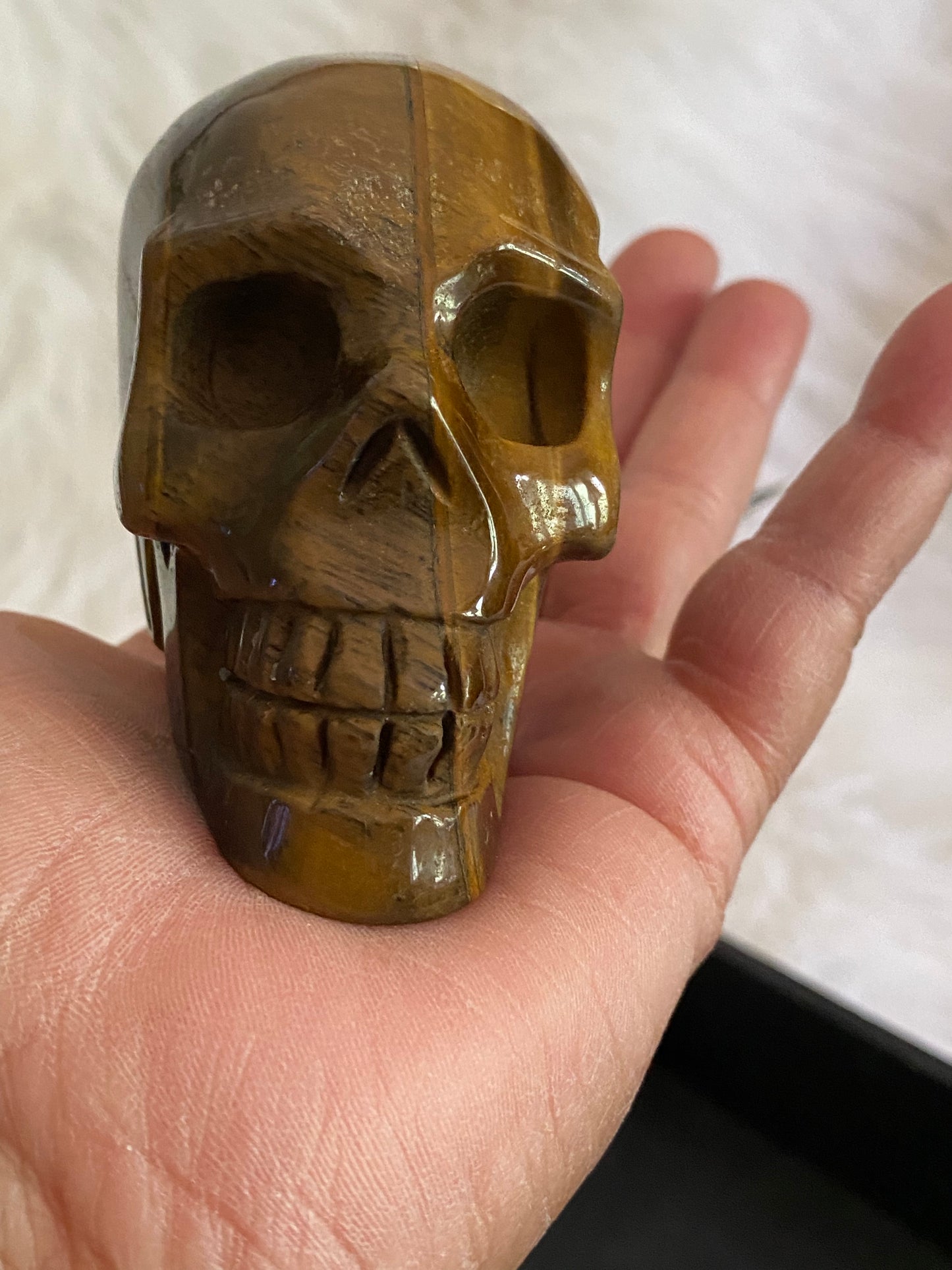 Tigers Eye Skull