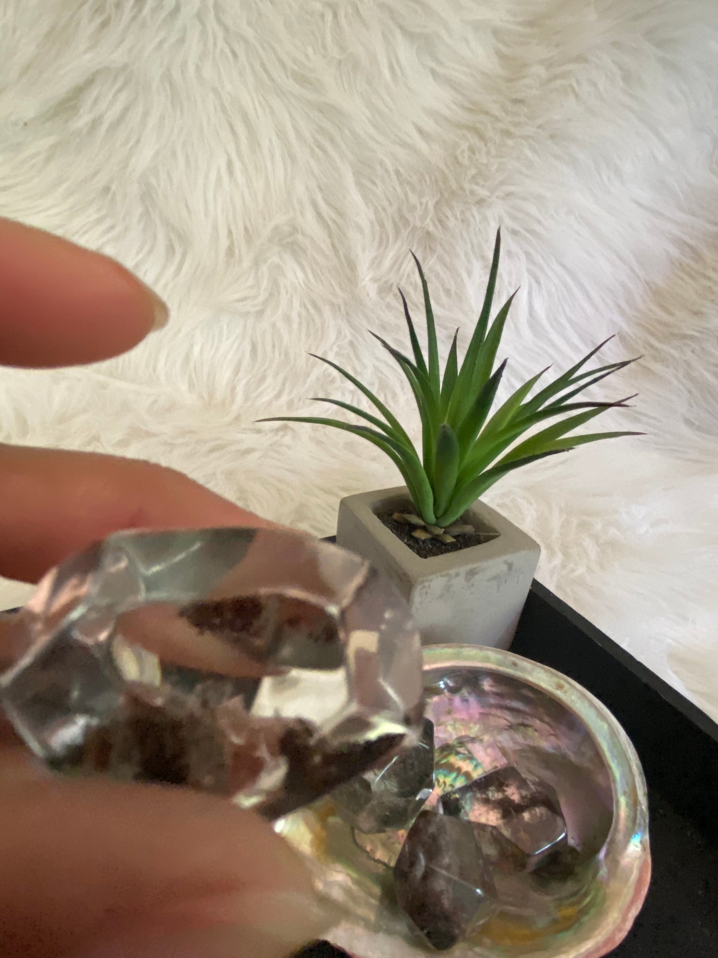 Garden Quartz Palms