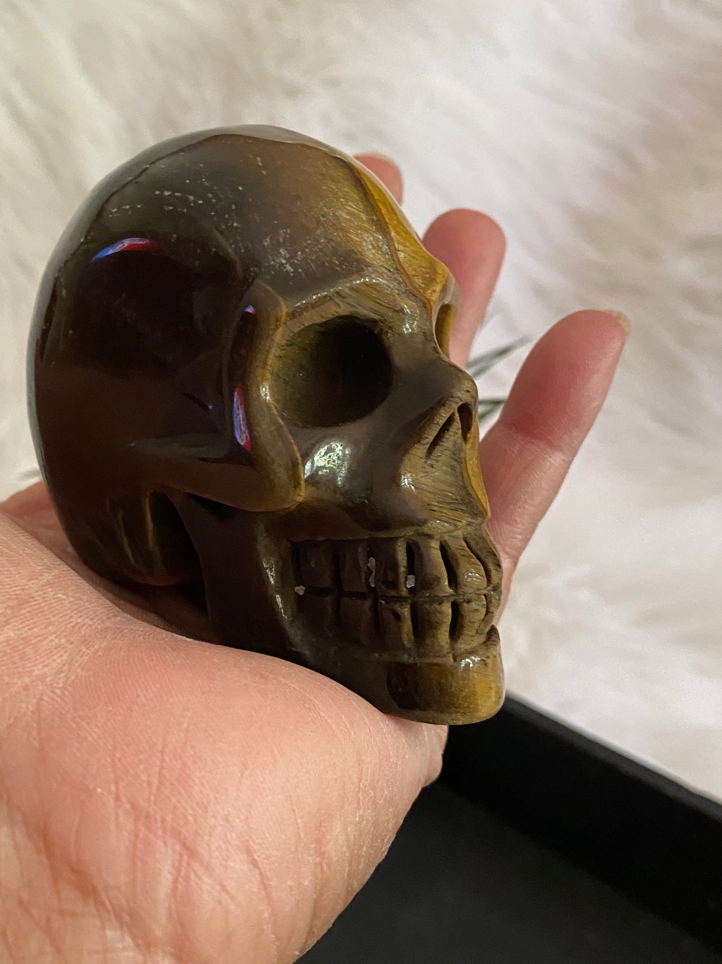 Tigers Eye Skull