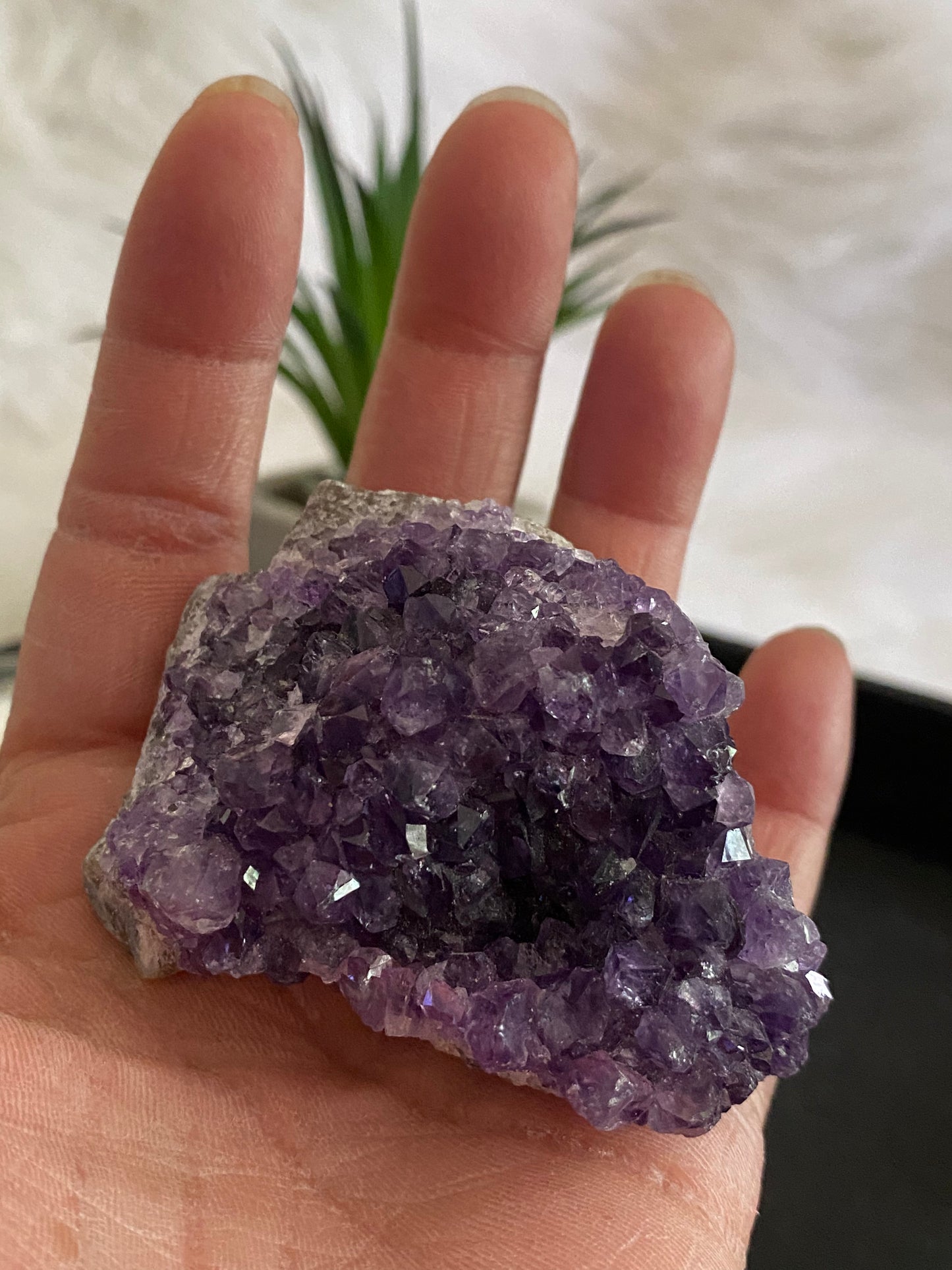 Amethyst Geode