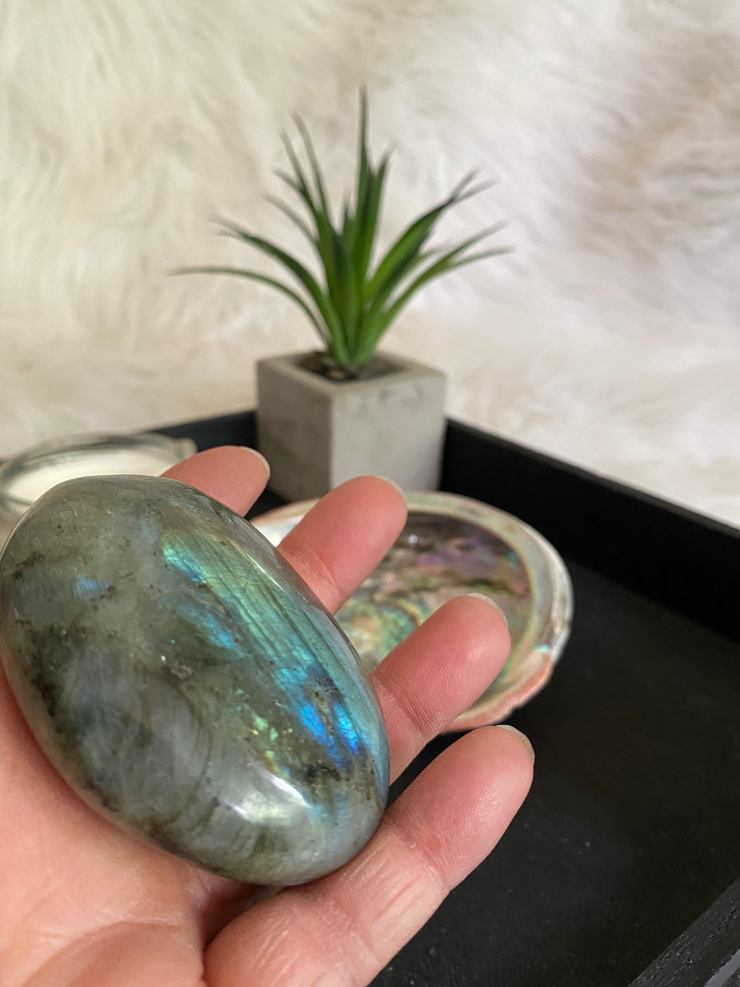 Labradorite Palmstone