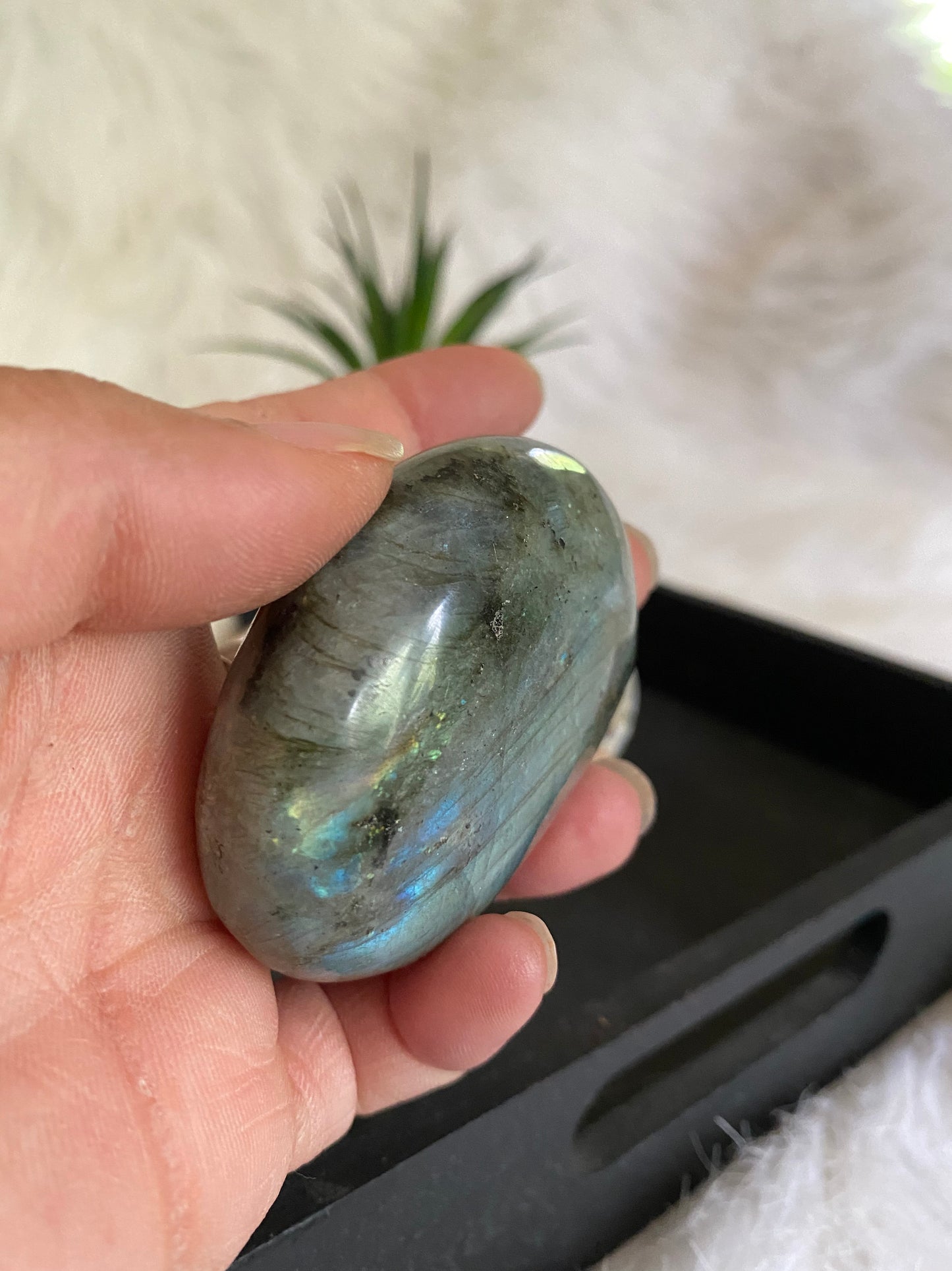 Labradorite Palmstone