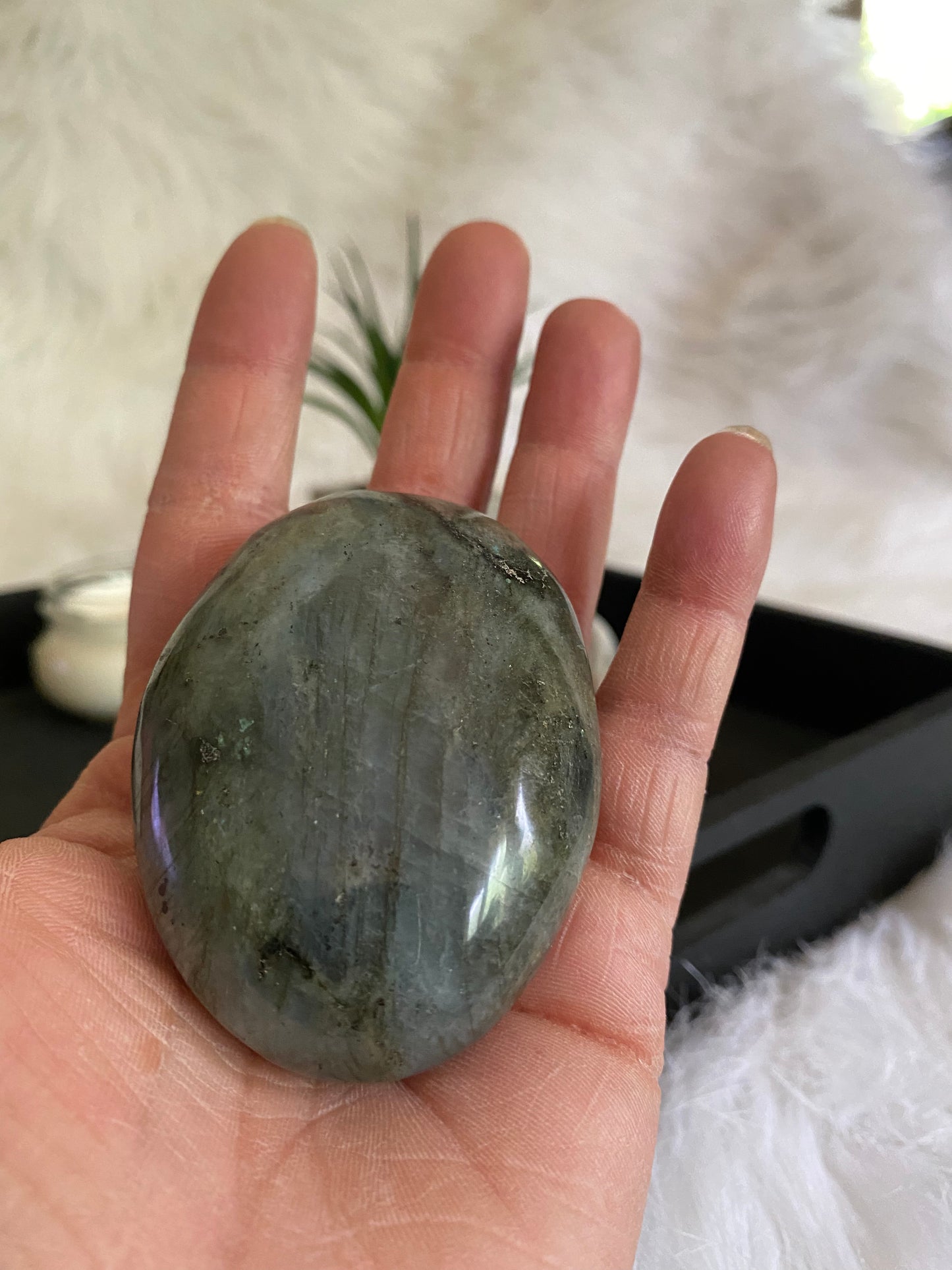 Labradorite Palmstone