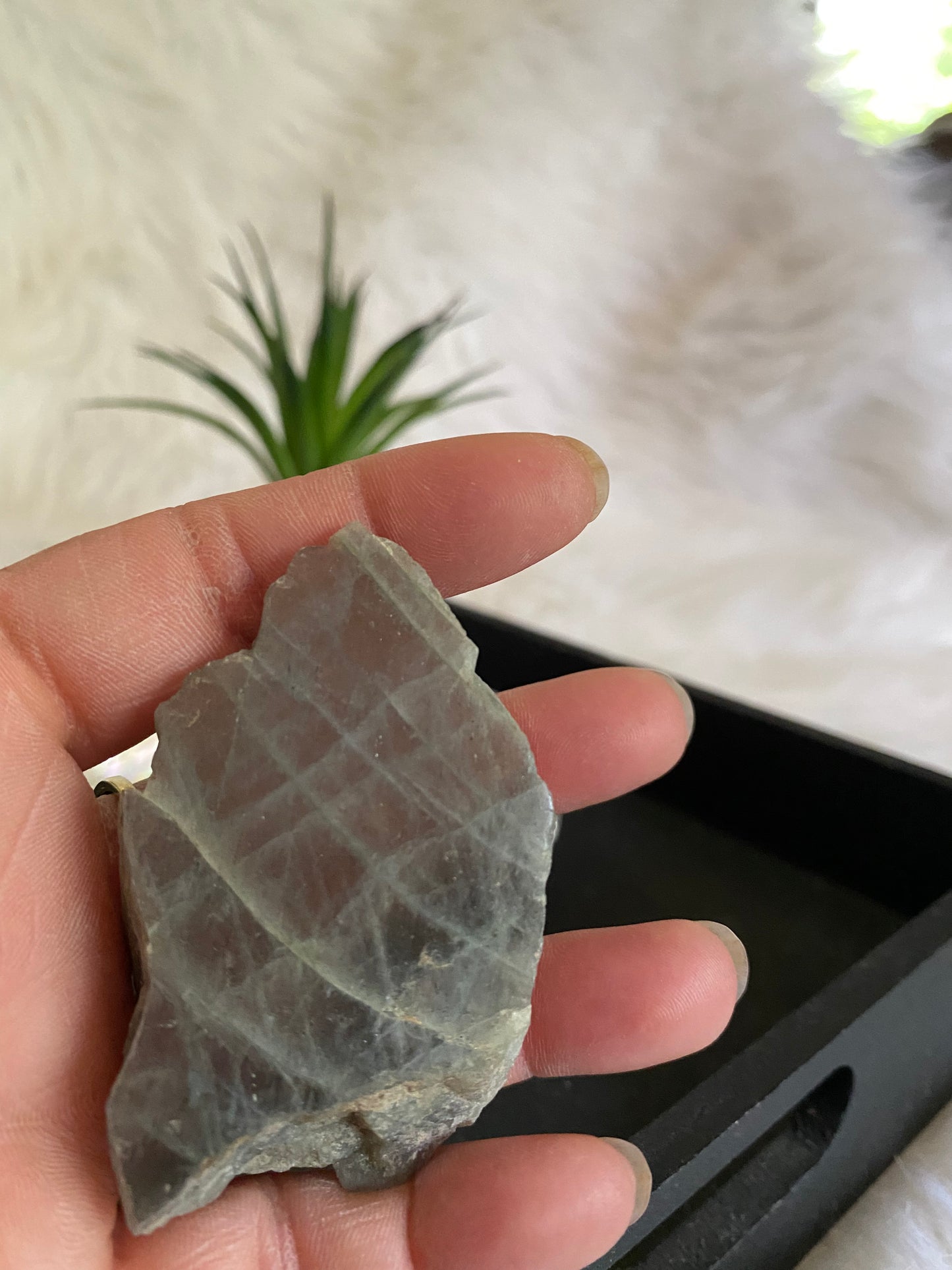 Labradorite Raw Palm