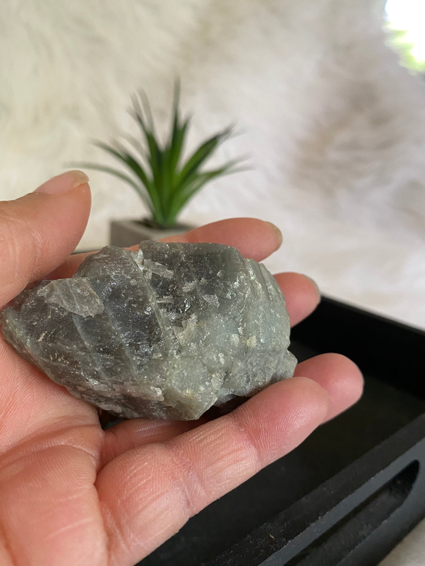 Labradorite Raw Palm