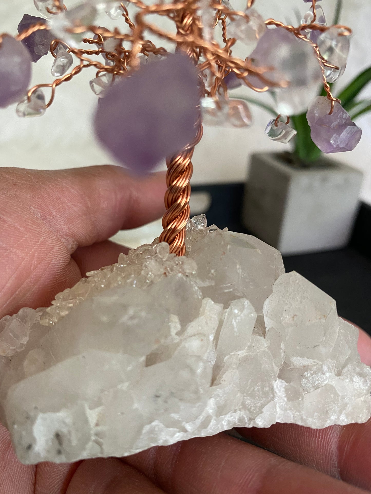 Amethyst and Clear Quartz Tree