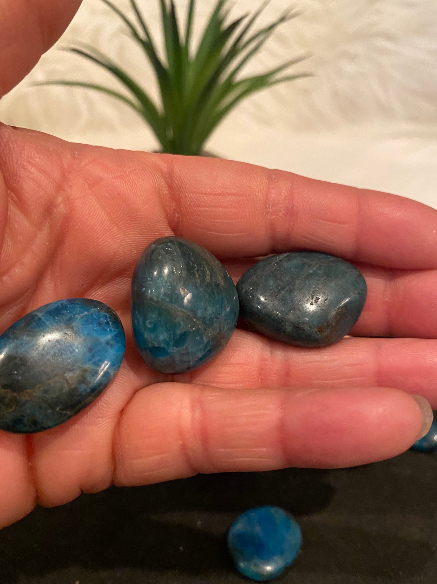 Blue Apatite Tumbles (mix n match all tumbles 3 for $10)